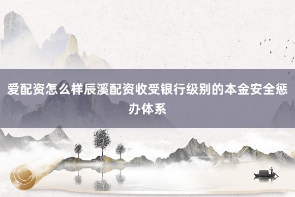 爱配资怎么样辰溪配资收受银行级别的本金安全惩办体系
